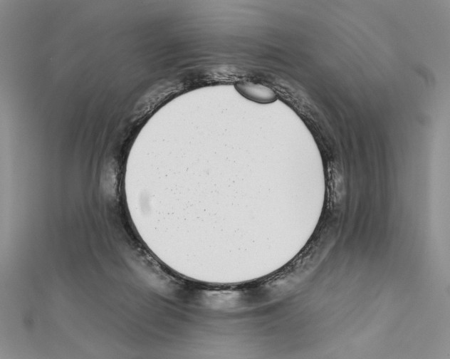 X0000111630266200908281141
