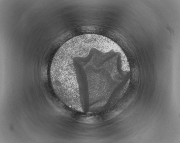 X0000111630267200908281141