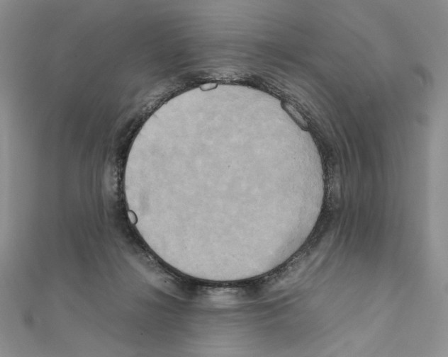 X0000111630268200908281141