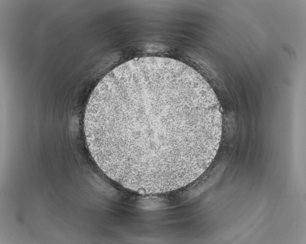 X0000111630269200908281141