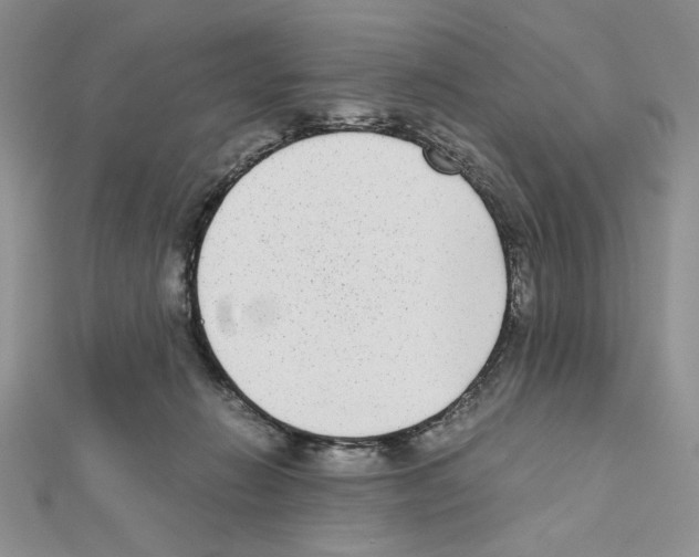 X0000111630270200908281141
