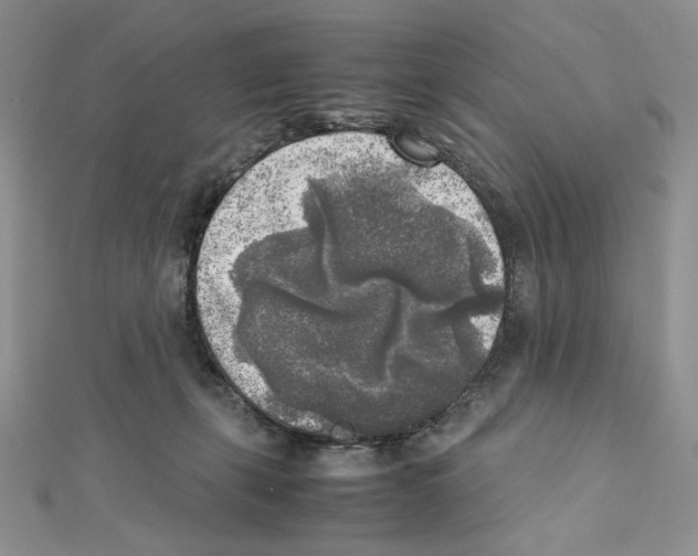 X0000111630271200908281141