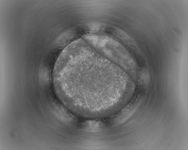 X0000111630272200908281141