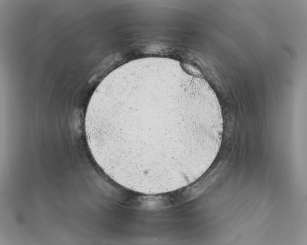 X0000111630273200908281141