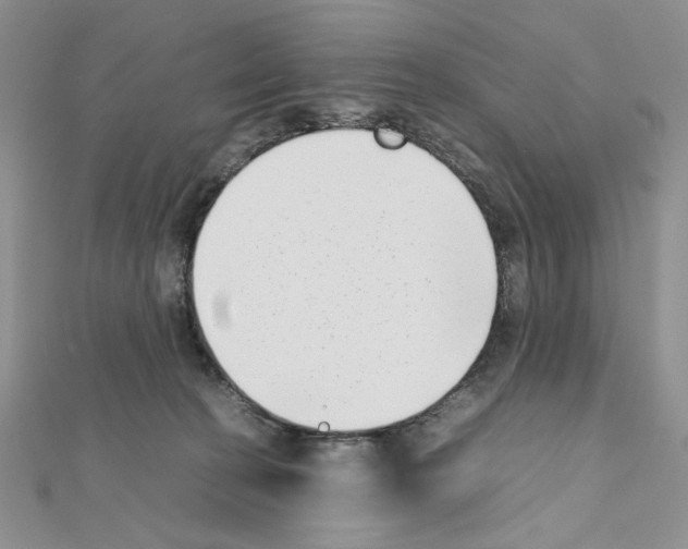 X0000111630274200908281141