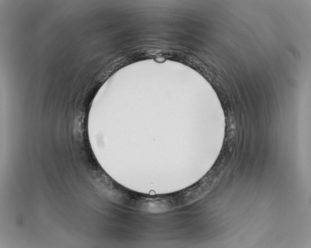 X0000111630275200908281141