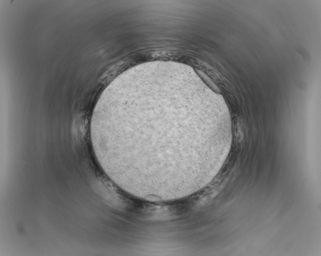 X0000111630276200908281141