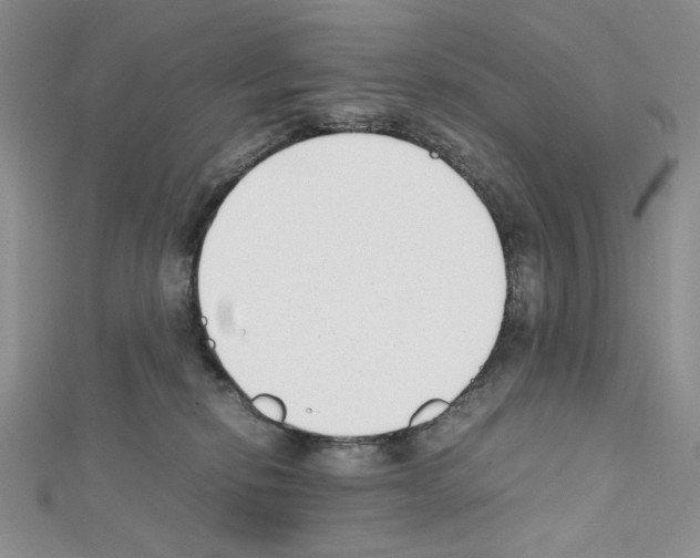 X0000111630278200908281141