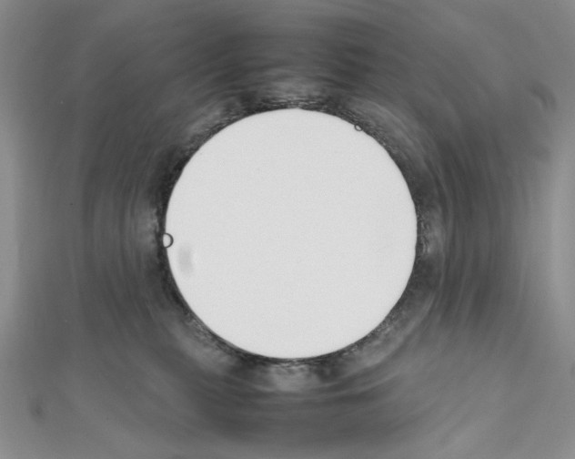 X0000111630279200908281141