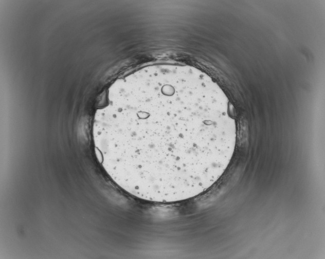 X0000111630280200908281141