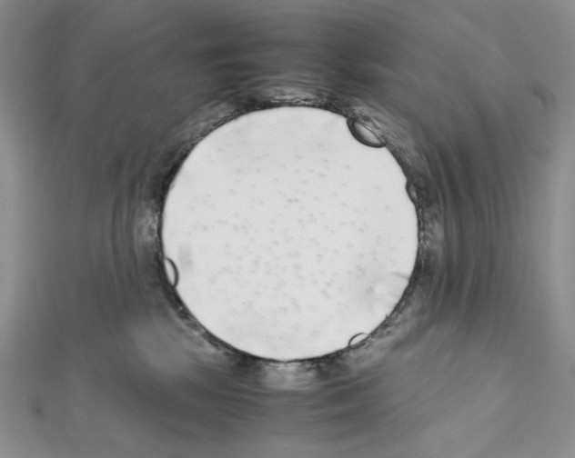 X0000111630281200908281141