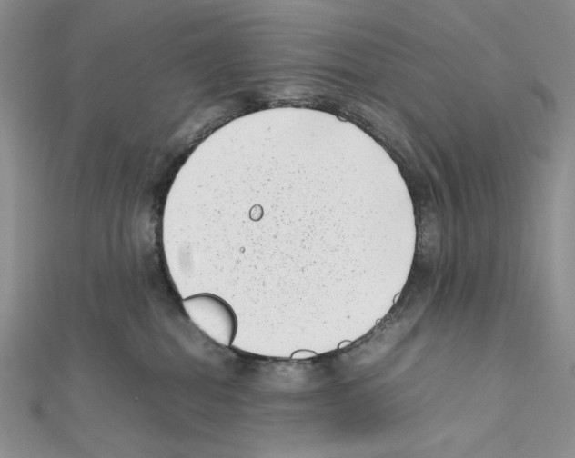 X0000111630282200908281141