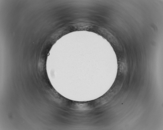 X0000111630283200908281142