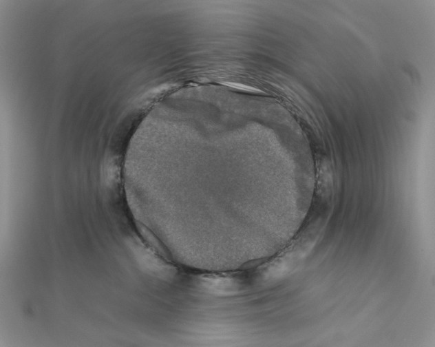 X0000111630284200908281142