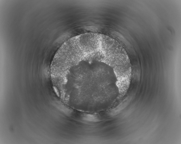 X0000111630285200908281142
