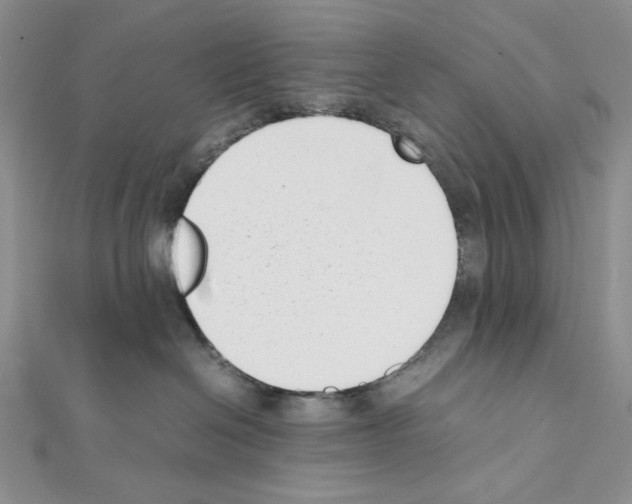 X0000111630286200908281142