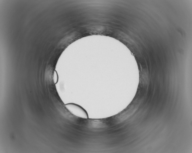 X0000111630287200908281142