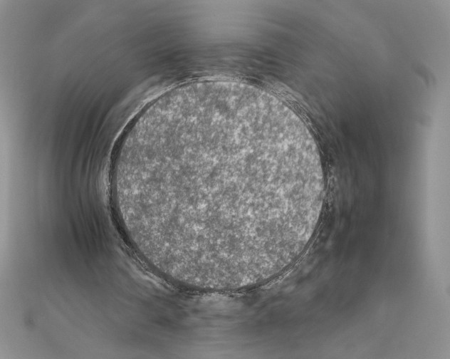 X0000111630290200908281141