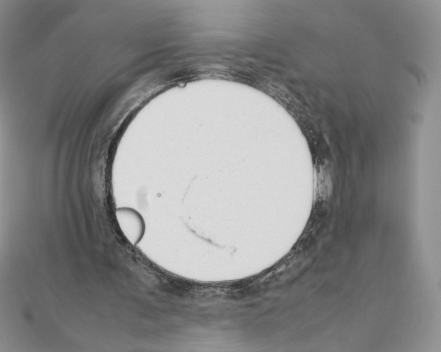 X0000111630291200908281141