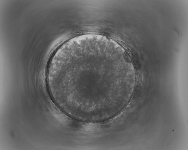 X0000111630293200908281141