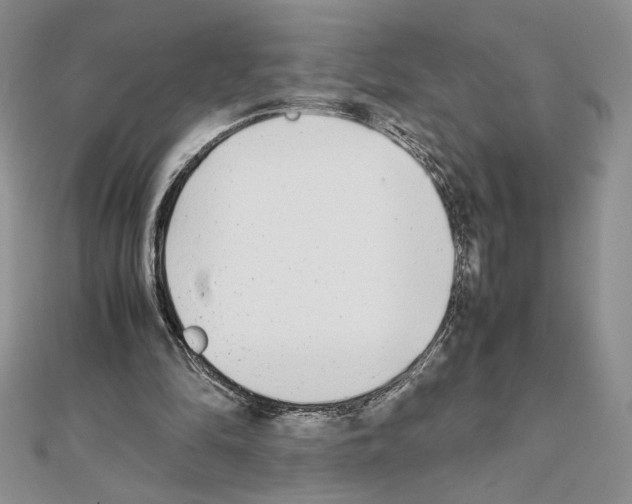X0000111630294200908281141