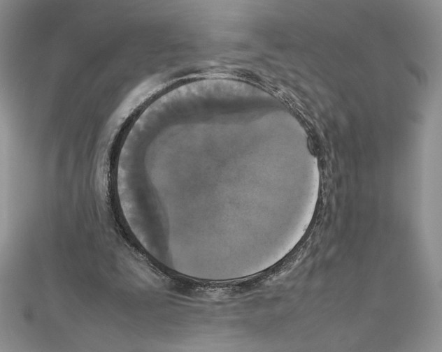 X0000111630295200908281141
