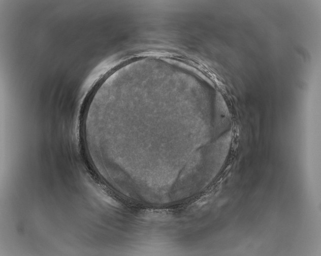 X0000111630296200908281141