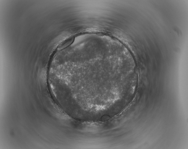 X0000111630297200908281141