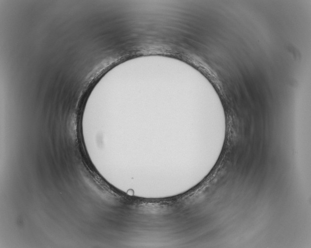 X0000111630298200908281141