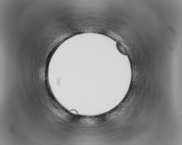 X0000111630299200908281141