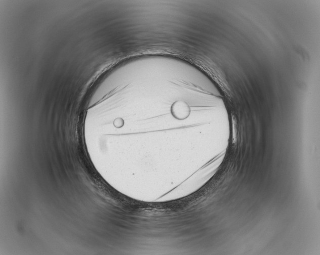 X0000111630300200908281141