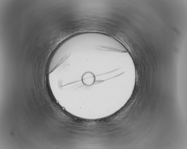 X0000111630301200908281141
