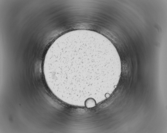 X0000111630302200908281141