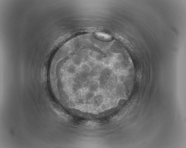 X0000111630303200908281141