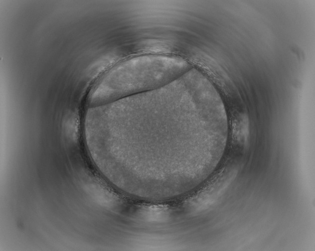 X0000111630304200908281141