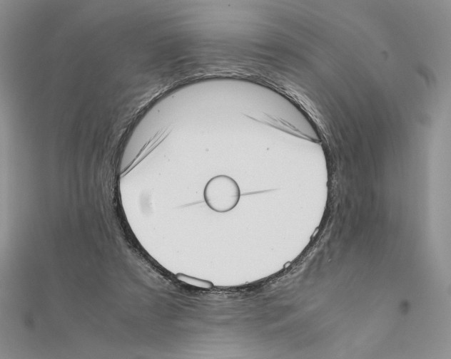 X0000111630305200908281141