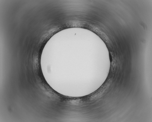 X0000111630306200908281141