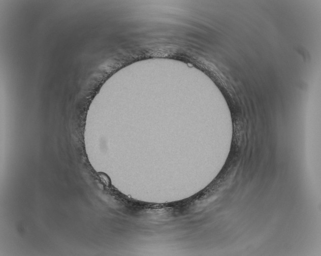 X0000111630307200908281141