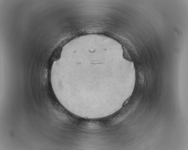 X0000111630308200908281141