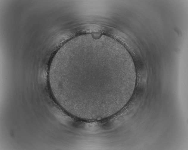 X0000111630309200908281141