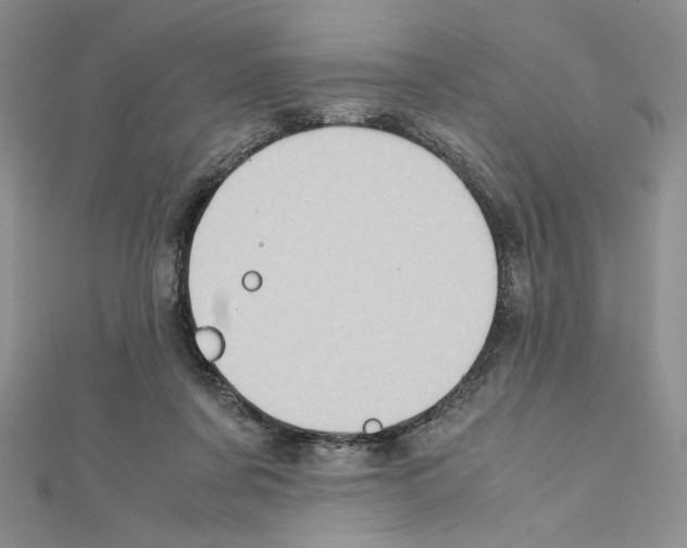 X0000111630311200908281141
