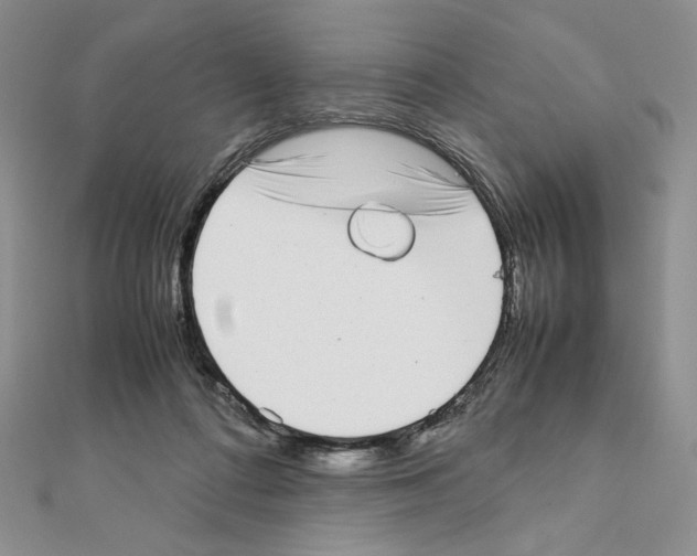 X0000111630312200908281141