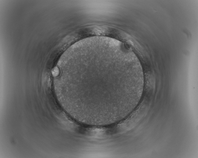 X0000111630313200908281141