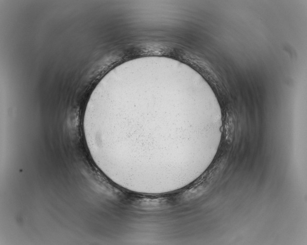 X0000111630314200908281141