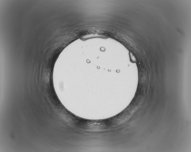 X0000111630315200908281141