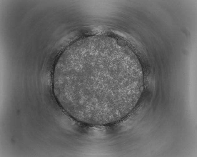 X0000111630317200908281140