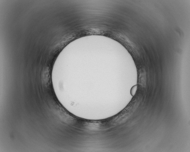X0000111630318200908281140