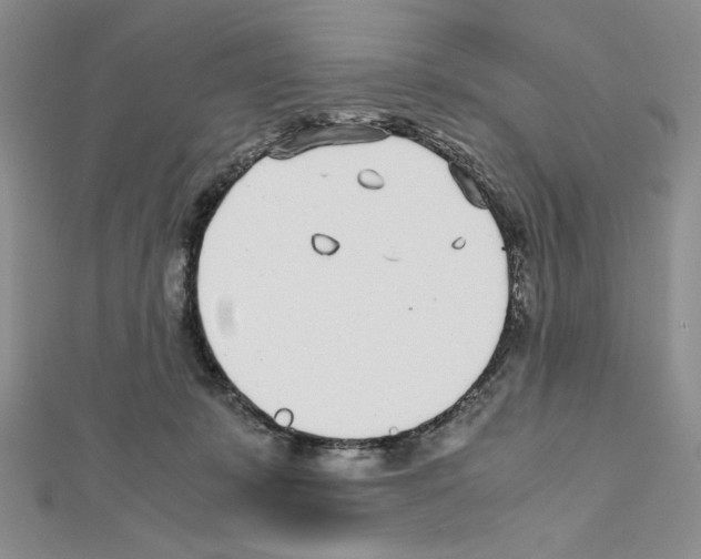 X0000111630319200908281140