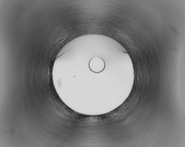 X0000111630320200908281140