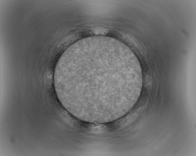 X0000111630321200908281140
